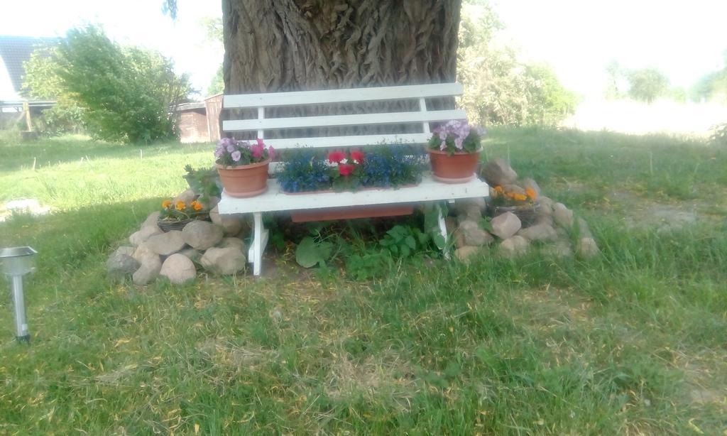 Das Haus Am Teich Gross Grabow Esterno foto