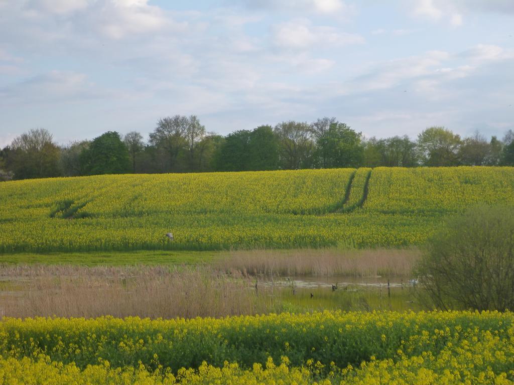 Das Haus Am Teich Gross Grabow Esterno foto