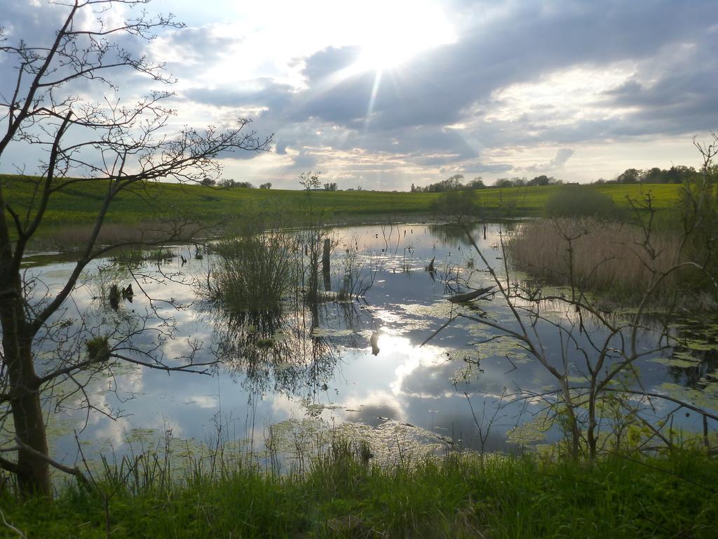 Das Haus Am Teich Gross Grabow Esterno foto